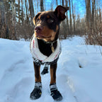 Pup Wear - Dog Boots