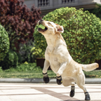 Pup Wear - Dog Boots